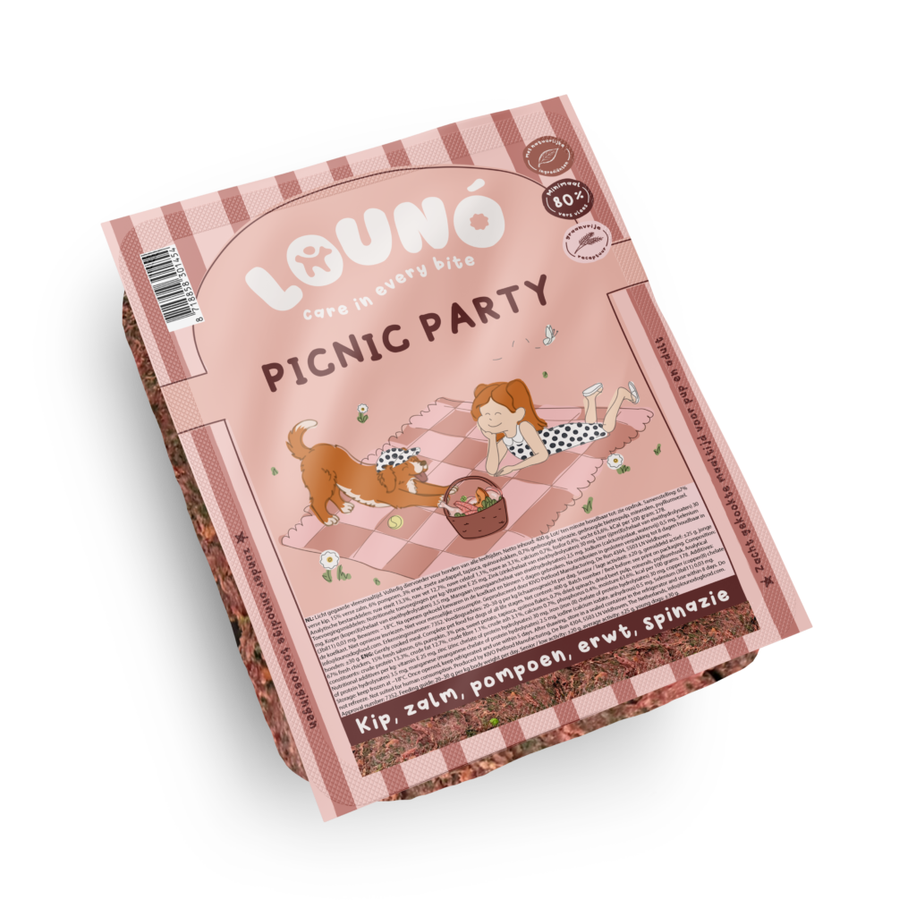 Picnic Party